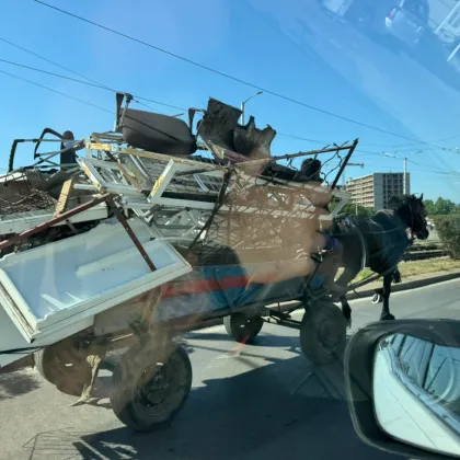 Необичайна гледка бе заснета от шофьор в столичния квартал Люлин