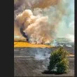 Бягащото дърво не успя да избяга от пожара на АМ Тракия СНИМКИ