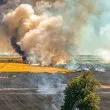 Бягащото дърво не успя да избяга от пожара на АМ Тракия СНИМКИ