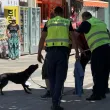 Куче нахапа трима души в центъра на Карлово