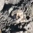 Нова невероятна находка при разкопките на Хераклея Синтика ВИДЕО