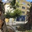 Новият вид на "Стария бряст" подлуди жителите на Сливен СНИМКИ