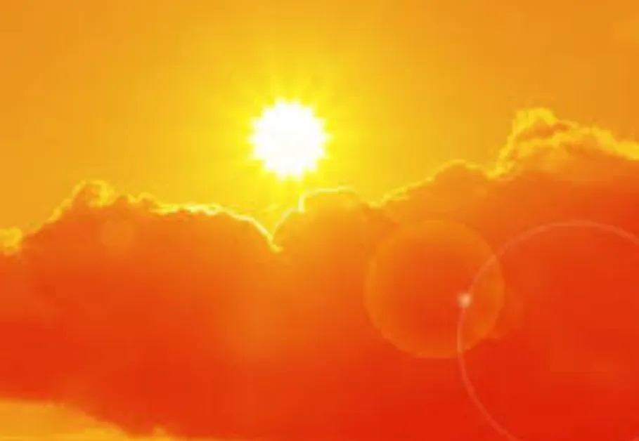 45.2°C в Пловдивско: Най-високата температура, измерена у нас