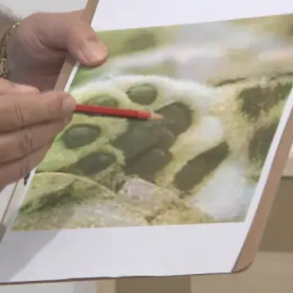 В следващите минути тръгваме по една много търсена следа Тази