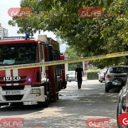 Горят 500 декара в Кърджалийско