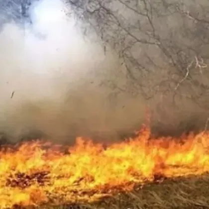 Пожар гори на депо за отпадъци в Разград