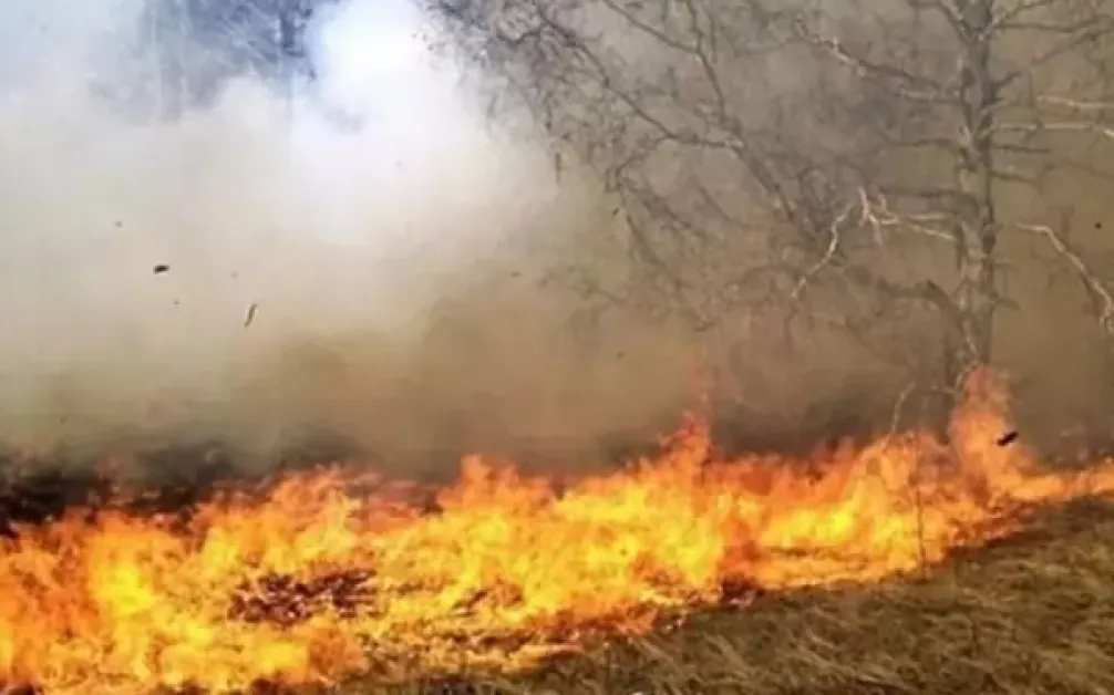 Пожар гори на депо за отпадъци в Разград