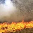 Пожар гори на депо за отпадъци в Разград