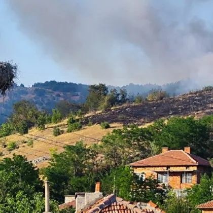 Пожарът който избухна в събота по обяд край кърджалийското село Звезделина