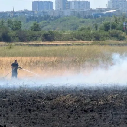 Пожар пламна край Атанасовското езеро в Бургас СНИМКА