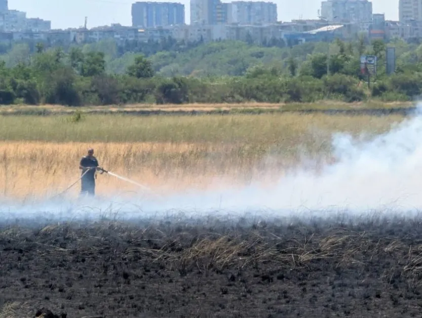 Пожар пламна край Атанасовското езеро в Бургас СНИМКА