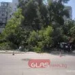 Дърво се стовари върху няколко коли в Пловдив СНИМКИ