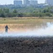 Пожар пламна край Атанасовското езеро в Бургас СНИМКА