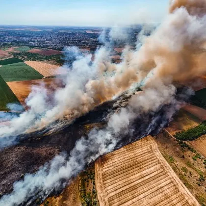 Още димят раните от предишния пожар изпепелил над 100 декара