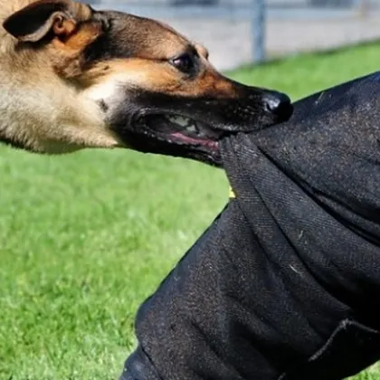 Жител на Карлово алармира в социалните мрежи за инцидент с