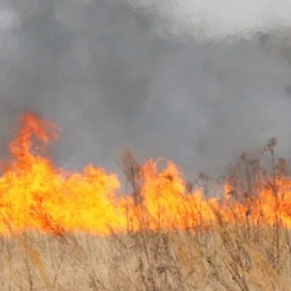 Два пожара със загуби са възникнали вчера в Кюстендилска област