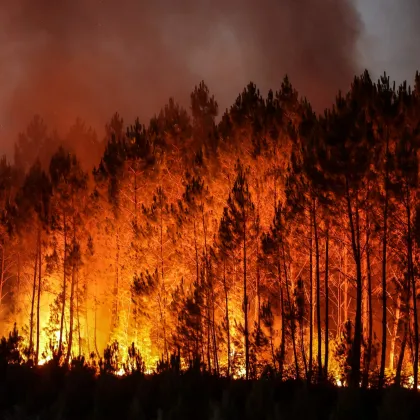Един служител на горско стопанство е настанен в пловдивска болница след