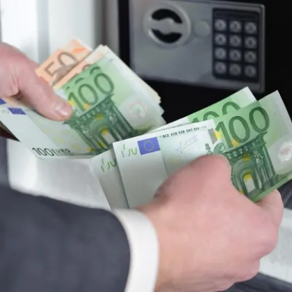 Няма обедняла държава след влизането в еврозоната Това обясни проф