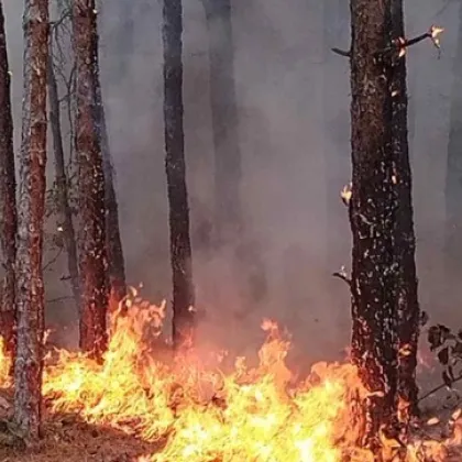 Областният управител на Пловдив: Необходимо е да бъдем бдителни