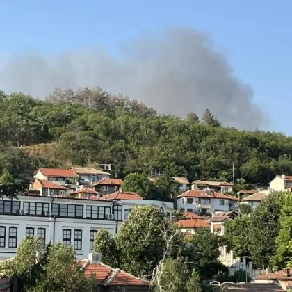 Пожар избухна във Велико Търново днес По информация на полицията