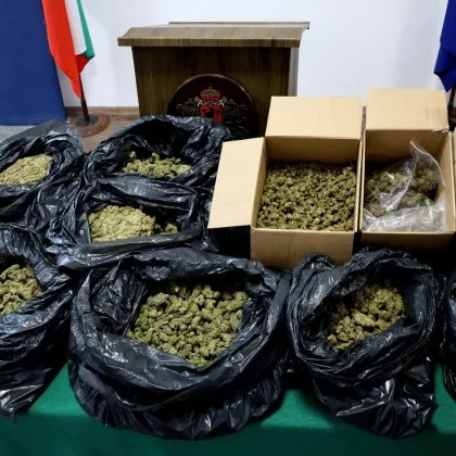 Полицията във Варна е заловила марихуана чиято пазарна стойност е