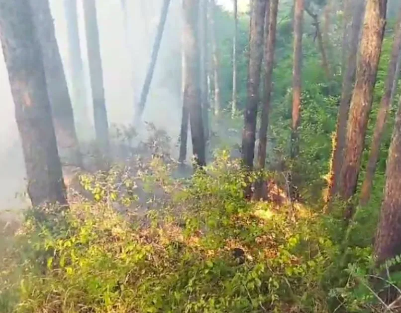 Пожар гори край Дупница