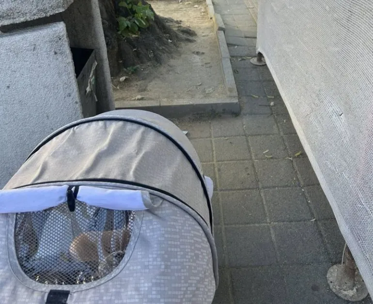 Размени бебето! Пазарджишки тротоарен абсурд роди гениална идея