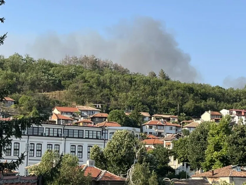 Страната гори! Пожари избухнаха в цяла България СНИМКИ и ВИДЕА