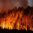Човек пострада при гасене на пожар край Юндола
