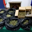 Заловиха марихуана за четвърт милион във Варна, четирима са закопчани