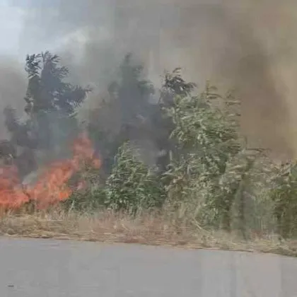 Сцените от магистрала Тракия край Ямбол приличат на апокалипсис Шофьори