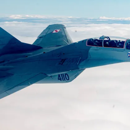 Полски и съюзнически самолети бяха вдигнати рано днес за да