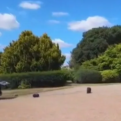 Когато делегацията на френския президент Еманюел Макрон пристигна във Великобритания