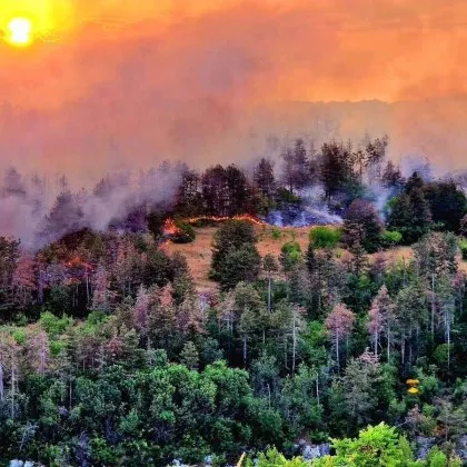 Военни от състава на Сухопътните войски и Националния военен университет