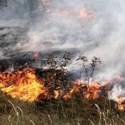 Областният управител на Пловдивска област проф Христина Янчева задейства системата
