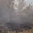 Ковачево под огнена обсада: бедствено положение и битка със стихията ВИДЕО
