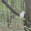 Нов вид маркировка в гора до София СНИМКА