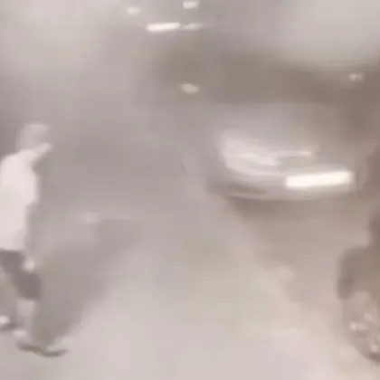 Задържаха мъжа убил котка в Сливен Това стана след публикуването