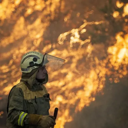 Голям горски пожар избухнал късно снощи в горските части на