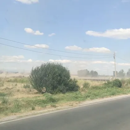 Пожар в царевично поле затруднява движението между Белово и Лозен ВИДЕО