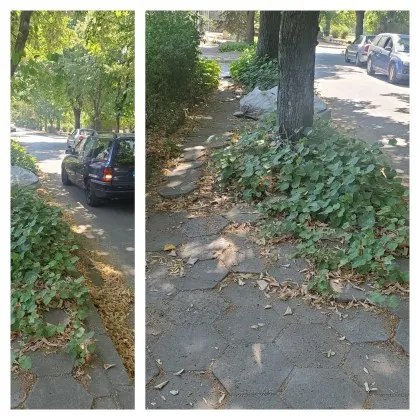 Ако решиш да стигнеш до медицински център в Димитровград пеша