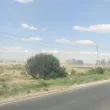 Пожар в царевично поле затруднява движението между Белово и Лозен ВИДЕО