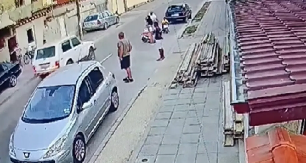 Кола блъсна и уби куче в Раковски, водачът дори не опита да го заобиколи