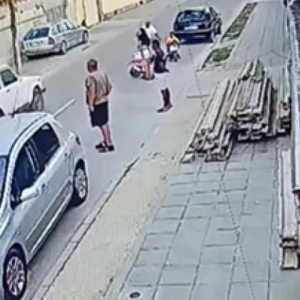 Кола блъсна и уби куче в Раковски, водачът дори не опита да го заобиколи
