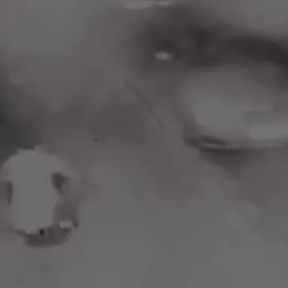 Мъжът заснет да малтретира до смърт животно в сливенския квартал