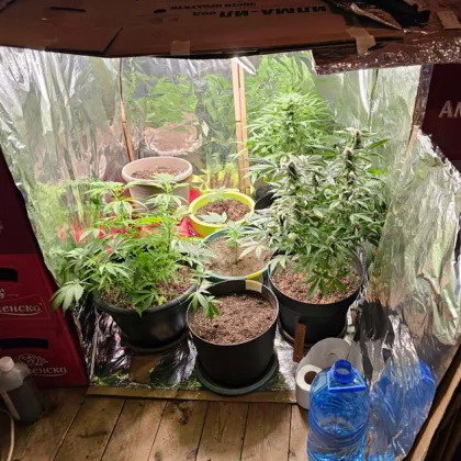 Шестима са задържани през последните два дни при специализирана полицейска