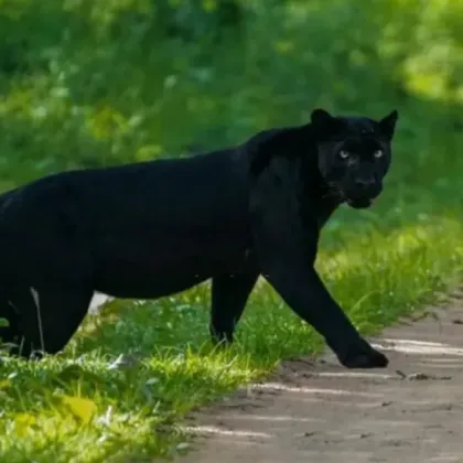 Ресторантьори и хотелиери от Шумен искат компенсации от държавата заради