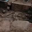 Откриха неограбен гроб с богат инвентар и запазени кости на Хераклея Синтика ВИДЕО