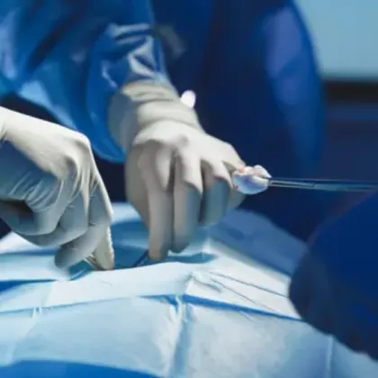 Съд в Мадагаскар даде зелена светлина за първата хирургическа кастрация