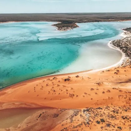 26 годишна германска туристка която прекарала около 11 дни изгубена в